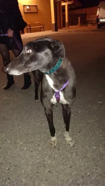 1623674 759014350783288 395558516 n