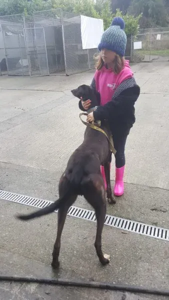 16244679 10210502792579643 219637060 o