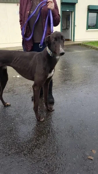 16244854 10210502797779773 158415595 o