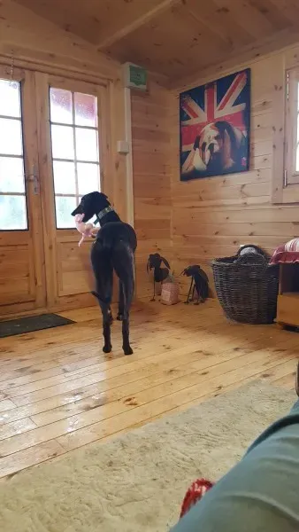 16244865 10210502786899501 2046039417 o