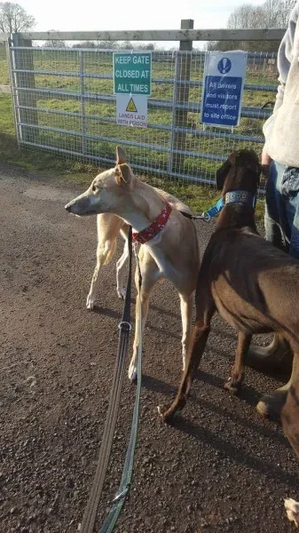 16251103 10210540175274187 984375609 o