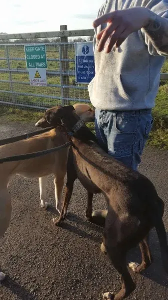 16251140 10210540191234586 1270526828 o