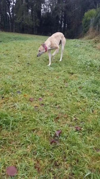 16251189 10210540160993830 1572597509 o