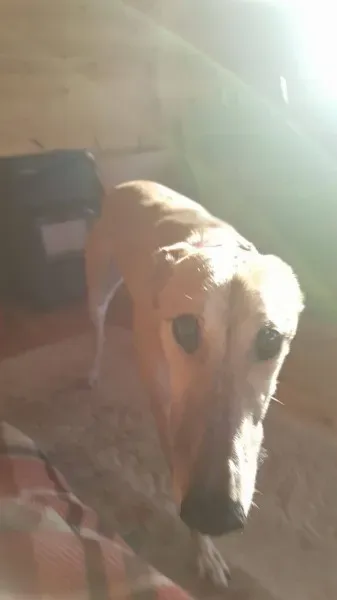 16251256 10210540193034631 567392156 o