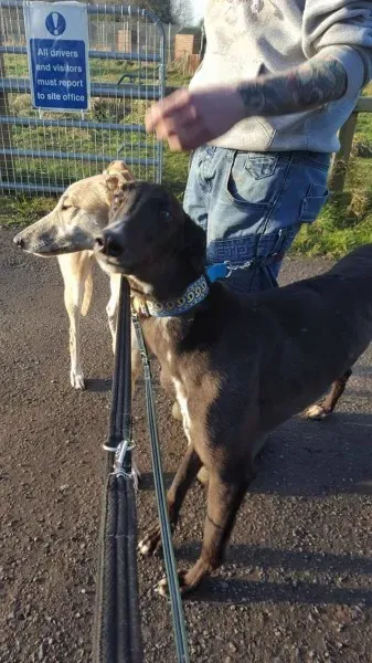 16251298 10210540172594120 588317617 o