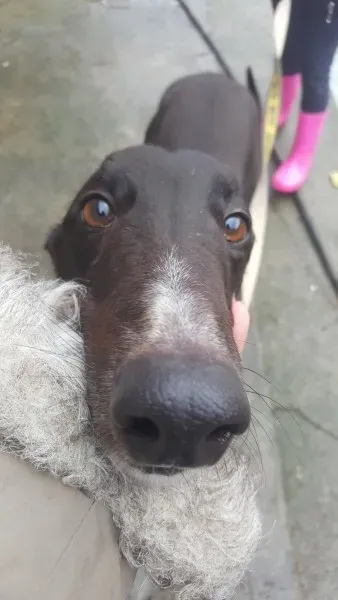 16251320 10210502789499566 2062522356 o