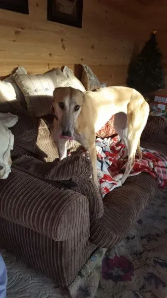 16251399 10210540195674697 1010179830 o