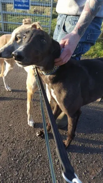 16251430 10210540194634671 791427264 o