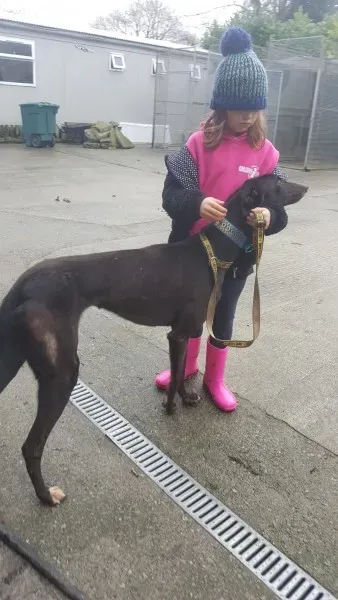 16251437 10210502789619569 1229308373 o