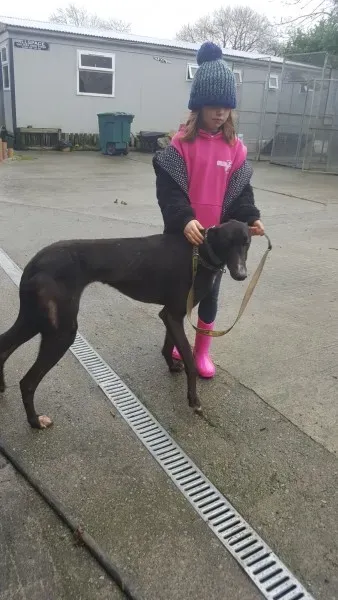 16251522 10210502788179533 2098683599 o