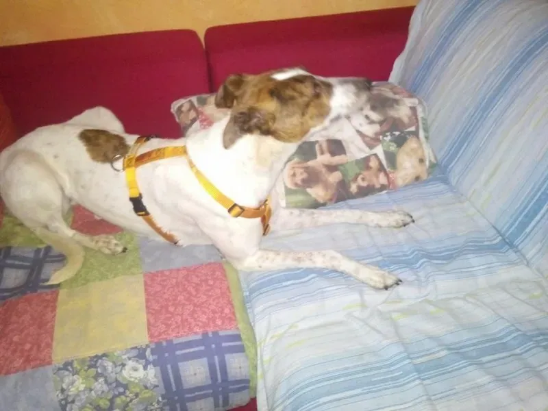 1625495 220678501460273 1086038391 n1