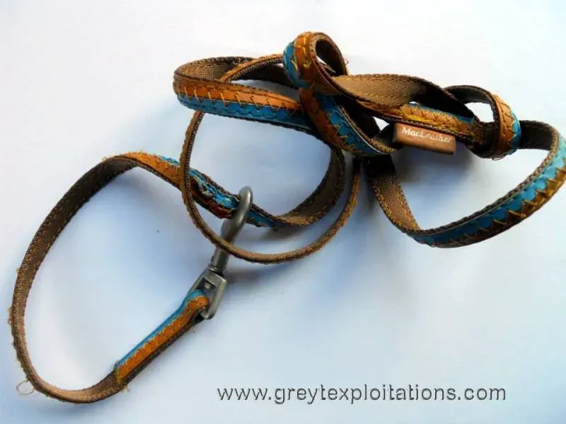 1625501 645105898875912 589248887 n