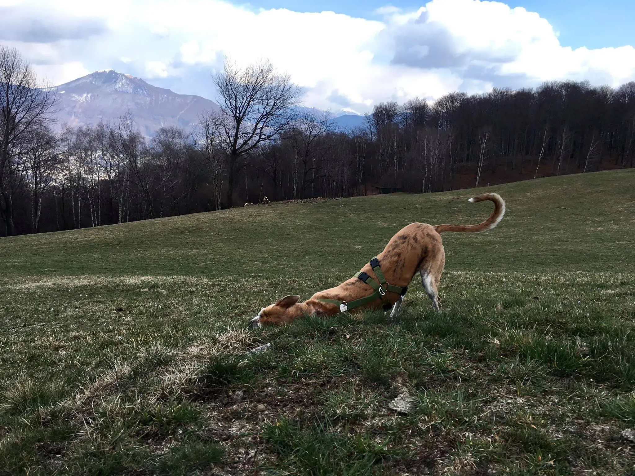 162689426 2891287991118685 2301225515899337359 n