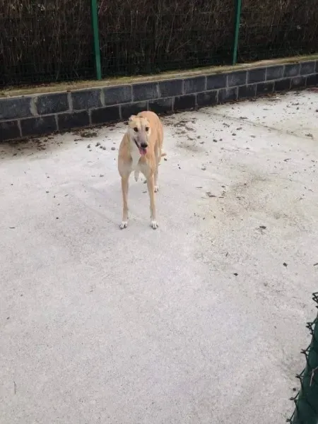 16296079 10210540125232936 174237675 n