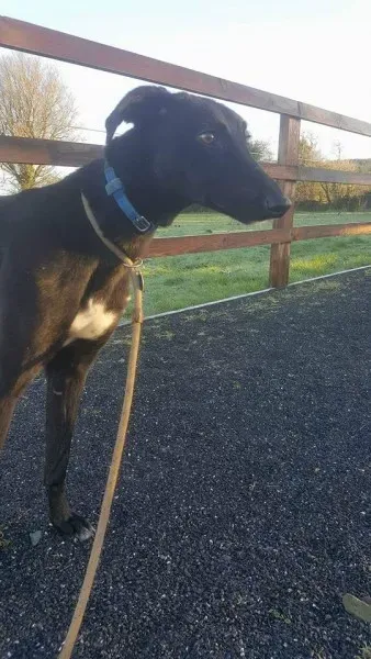 16298407 1537112972973063 7820988509425177526 n