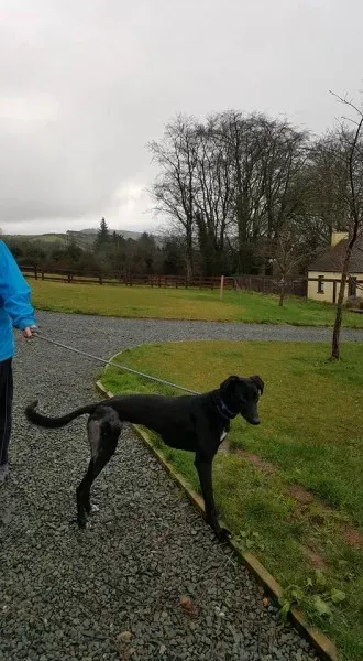 16298972 1538755892808771 6581814740874418586 n