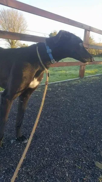 16299113 1537112982973062 2205315483839173140 n