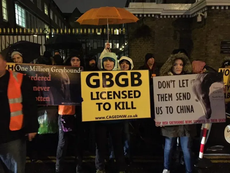 16299473 1258646794219173 8892036870964671079 n