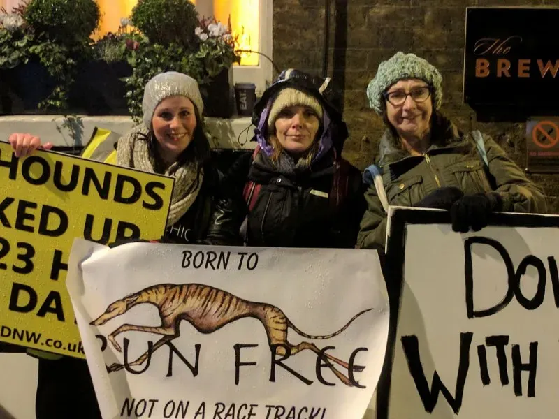 16300036 10154435709494912 3176445889906047767 o