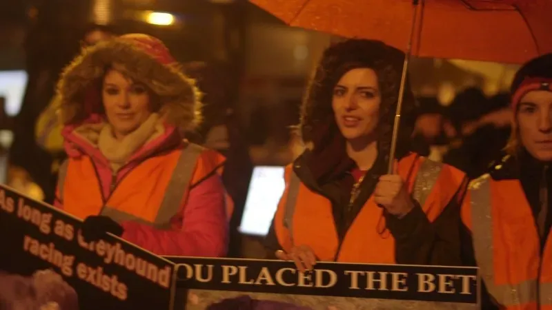 16300456 10154999762337628 537197888595690735 o