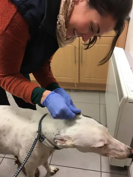 16325384 250630875392565 420826487 o