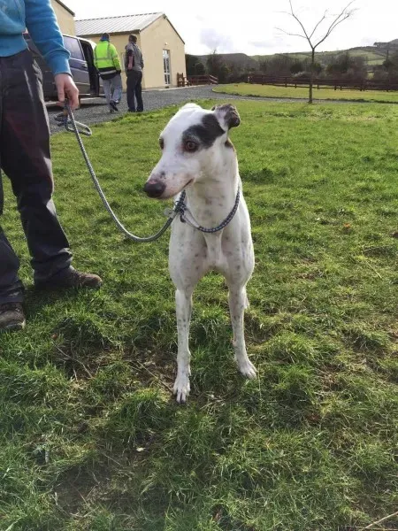 16325527 250630548725931 1090289401 o