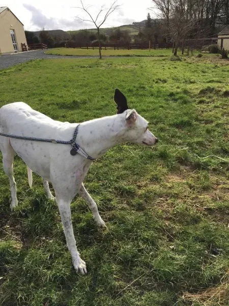 16325582 250630535392599 342679513 o