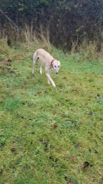 16325722 10210540163193885 580864757 o