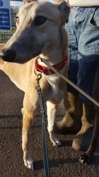 16325776 10210540176034206 323846153 o