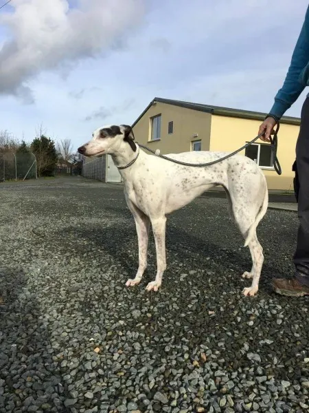 16325814 250630758725910 1652611569 o