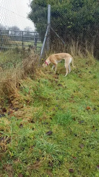 16325889 10210540168114008 1573475830 o