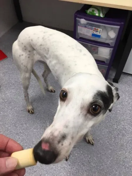 16326010 250102652112054 2117915413 o