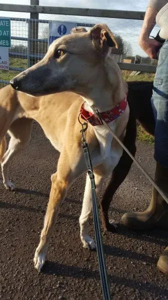 16326086 10210540168154009 2089378397 o