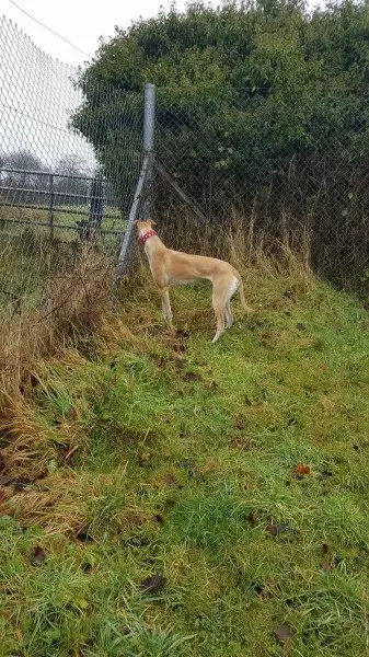 16326169 10210540167193985 1170372471 o