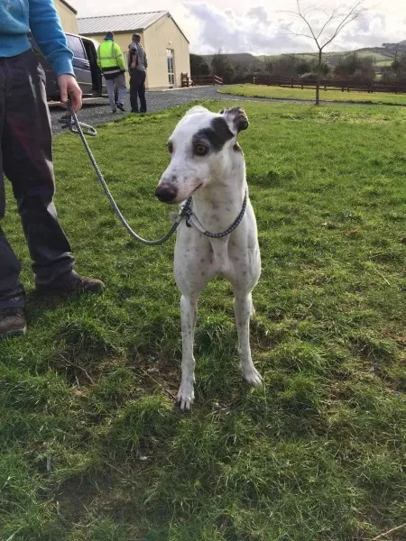 16326263 250630545392598 1863826149 o