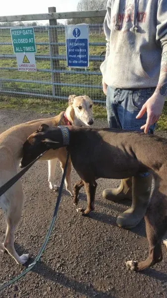 16326304 10210540178154259 1358039487 o