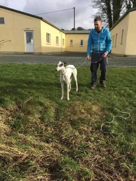 16326756 250630515392601 1647261760 o