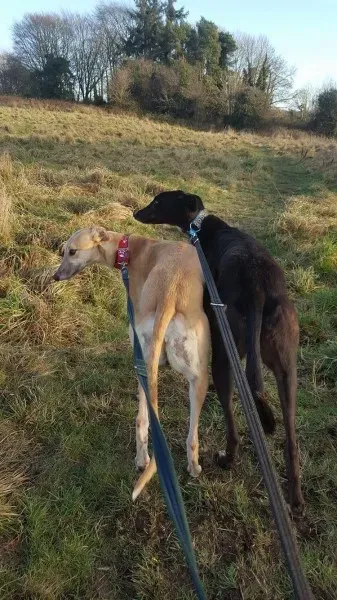 16326788 10210540194954679 1001287704 o