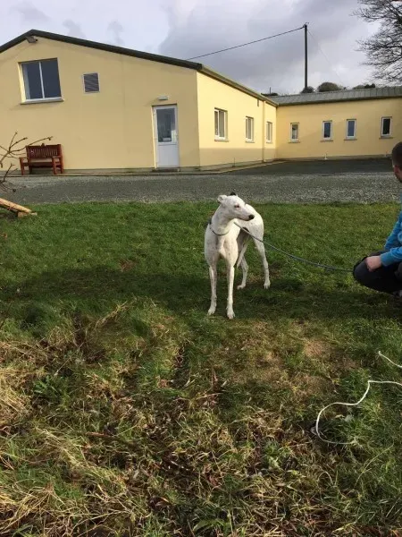 16326810 250630505392602 292512773 o