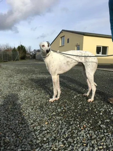 16357158 250630715392581 666867429 o