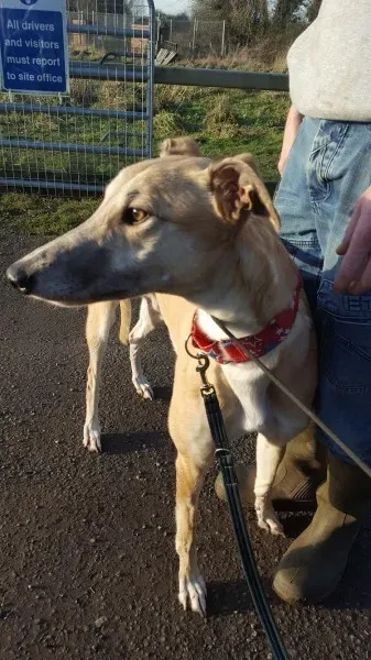 16357162 10210540192954629 292310956 o