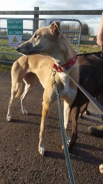 16357252 10210540182114358 839994634 o