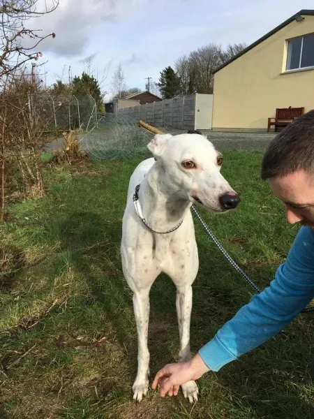 16357261 250630455392607 1155264431 o