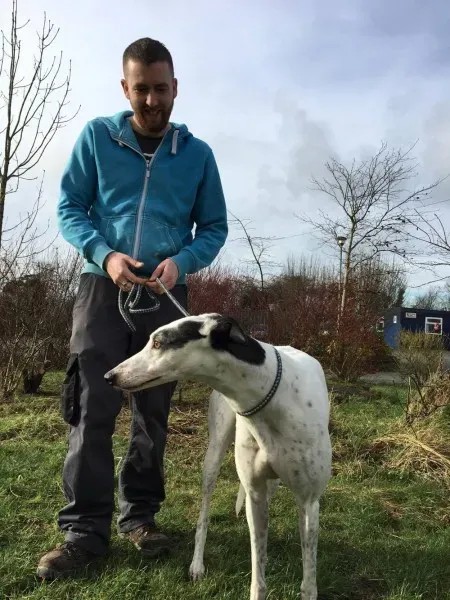 16357334 250630608725925 852411508 o