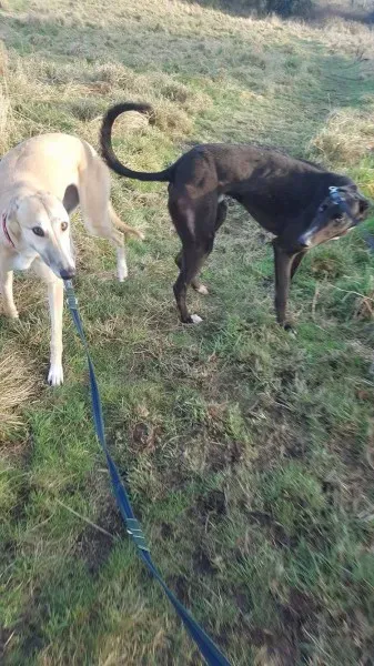 16357352 10210540194314663 1708041830 o