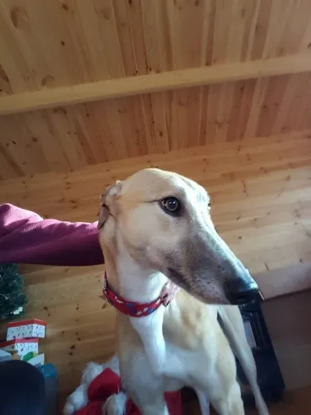 16357353 10210540194674672 1133083183 o