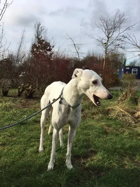 16357459 250630595392593 1047985001 o