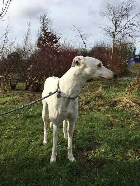 16357581 250630582059261 2113663422 o