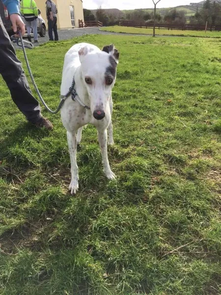 16357616 250630552059264 108232239 o