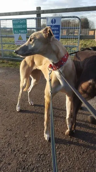 16357695 10210540173314138 1423028694 o